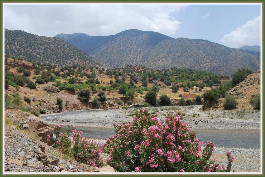 Paysage  Talliouine