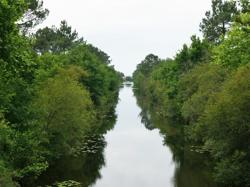 Lacs Landais